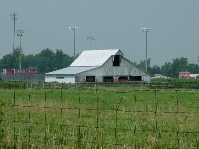 Indiana2.JPG