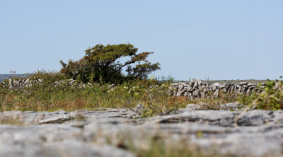 irland_25.jpg