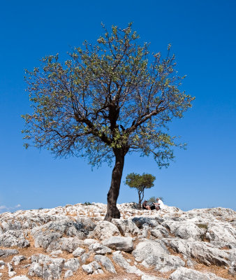 greece_025.jpg