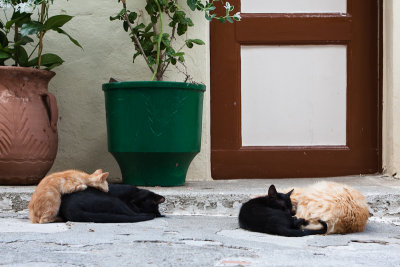 greece_059.jpg