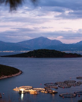 greece_089.jpg