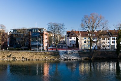 donau_schwaene-1.jpg