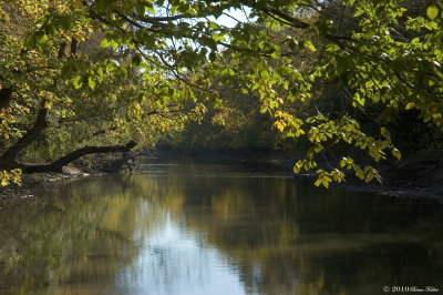 The River