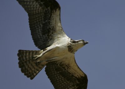LX7O9429.jpg