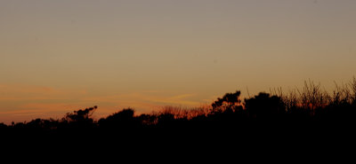 LX7O1039.jpg