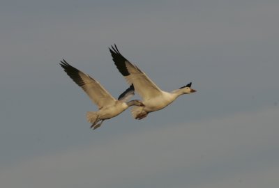 LX7O1220.jpg