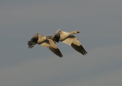 LX7O1221.jpg