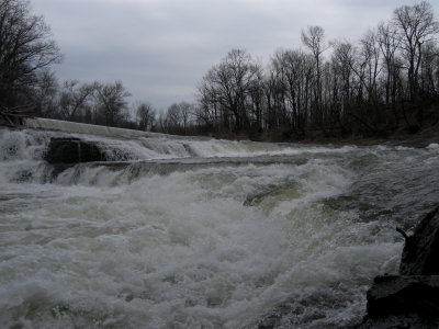 steelhead_09