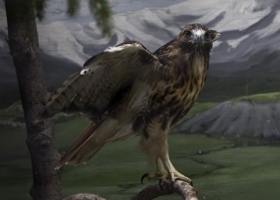 _X7O6170.jpg