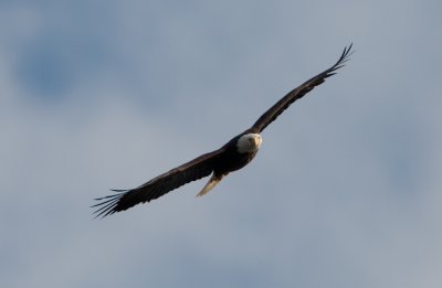 _E5R2587.jpg