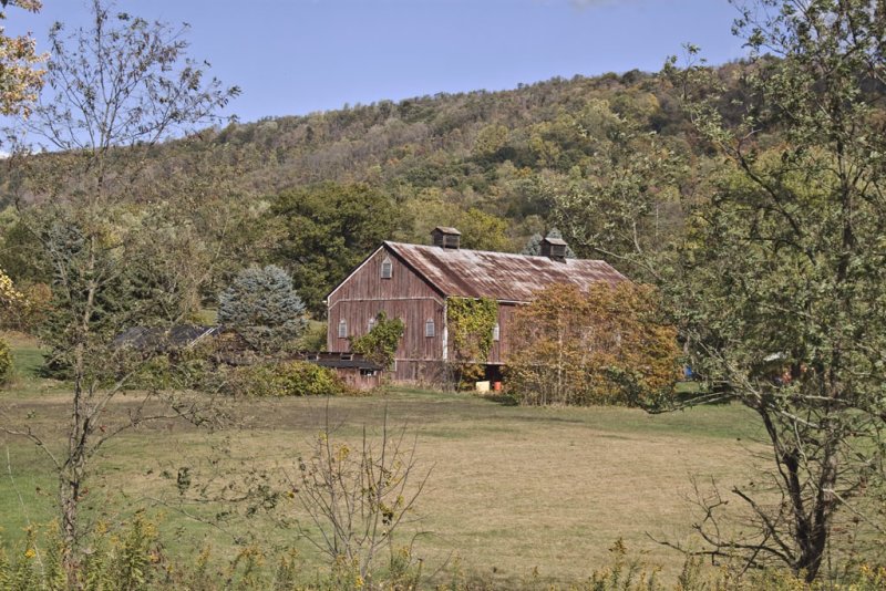 10-21-10 030.jpg