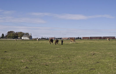 11-07-2010 014.jpg