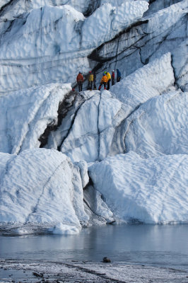 Matanuska Glacier Climbers