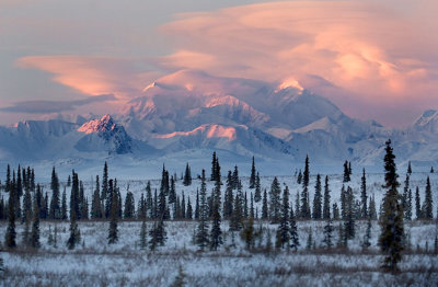Morning View Of Denali