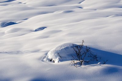 Hatcher Pass
