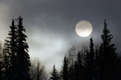 Fog Over Anchorage