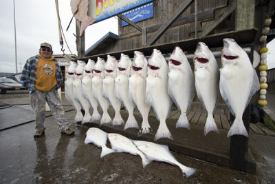 Halibut Fishing