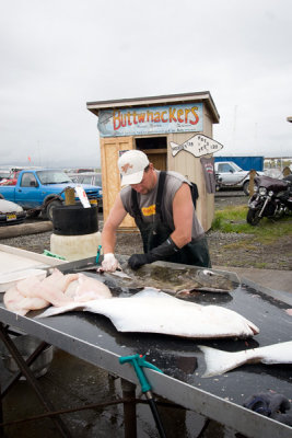 Halibut Fishing