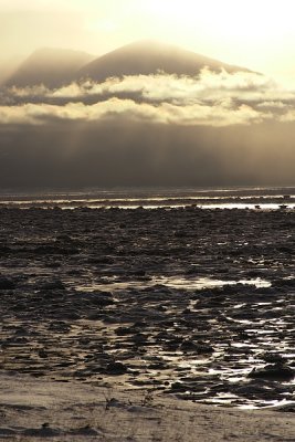 Turnagain Sunrise