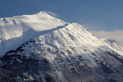 View Above Turnagain