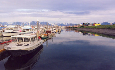Small Boat Harbor, Homer Alaska