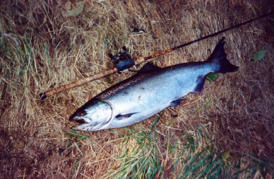scan0021.jpg
