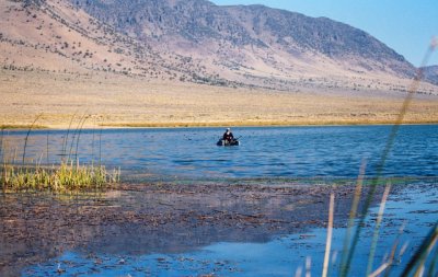 Bill, Alone On Mann Lake