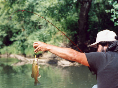 scan0018.jpg
