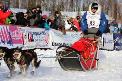 Iditarod Photos - 2008