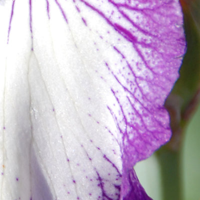 LVS_DSLR_Week_3