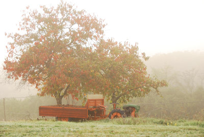 foggy_fall_landscape.jpg