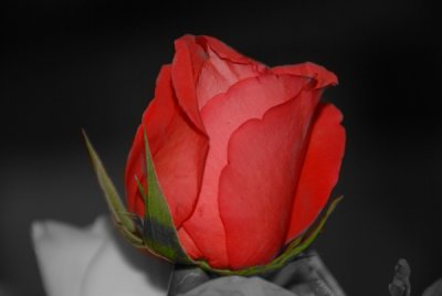 color_2.jpg