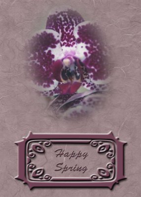 Card_2.jpg