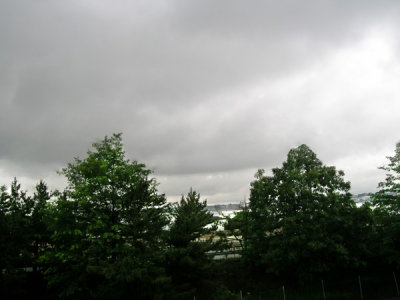 g1/93/667893/3/113007664.UIDMSCBY.jpg