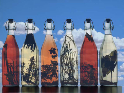 Big-sky-with-bottles.jpg