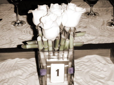 SNU_SSTools_Actions_Hand-Tint6301-1-Sepia.jpg