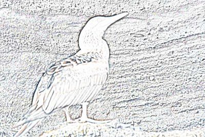 BMU_SS_Actions_SketchIt2_Pencil.jpg