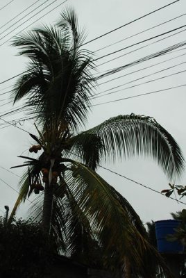 before_with_wires.jpg