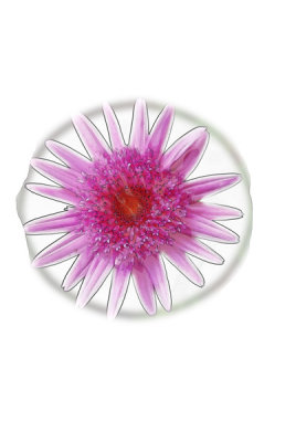 LVS_PS5Fx_Week5