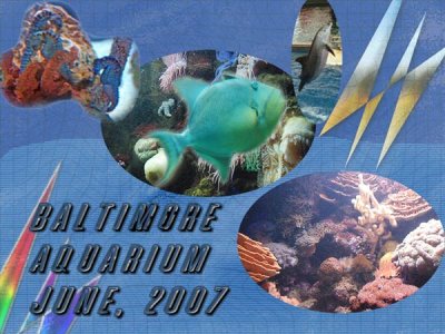 EA_More_Collages_Week_4