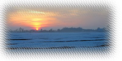 decorative_photo_edge_4.jpg