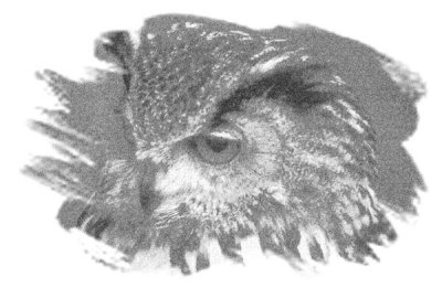 Photofilter_1.jpg