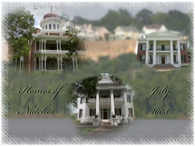 EA_More_Collages_Week_5