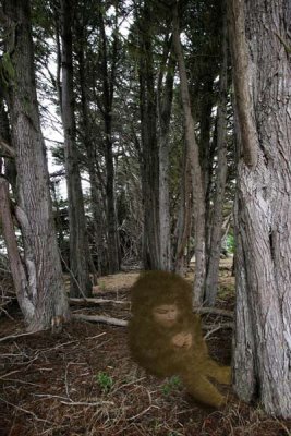bigfoot.jpg