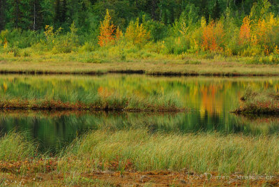 Tern Lake