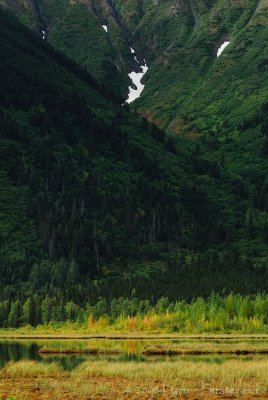 Tern Lake Hillside