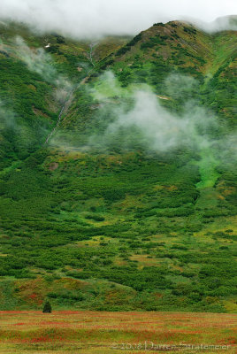 Turnagain Pass