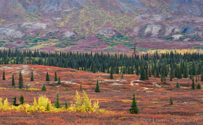 Colorful Roadside Stop