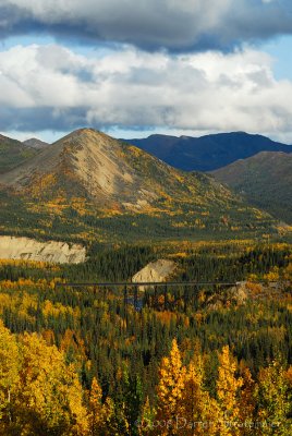 Denali N.P. First View