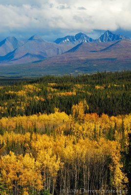 Early Fall in Denali